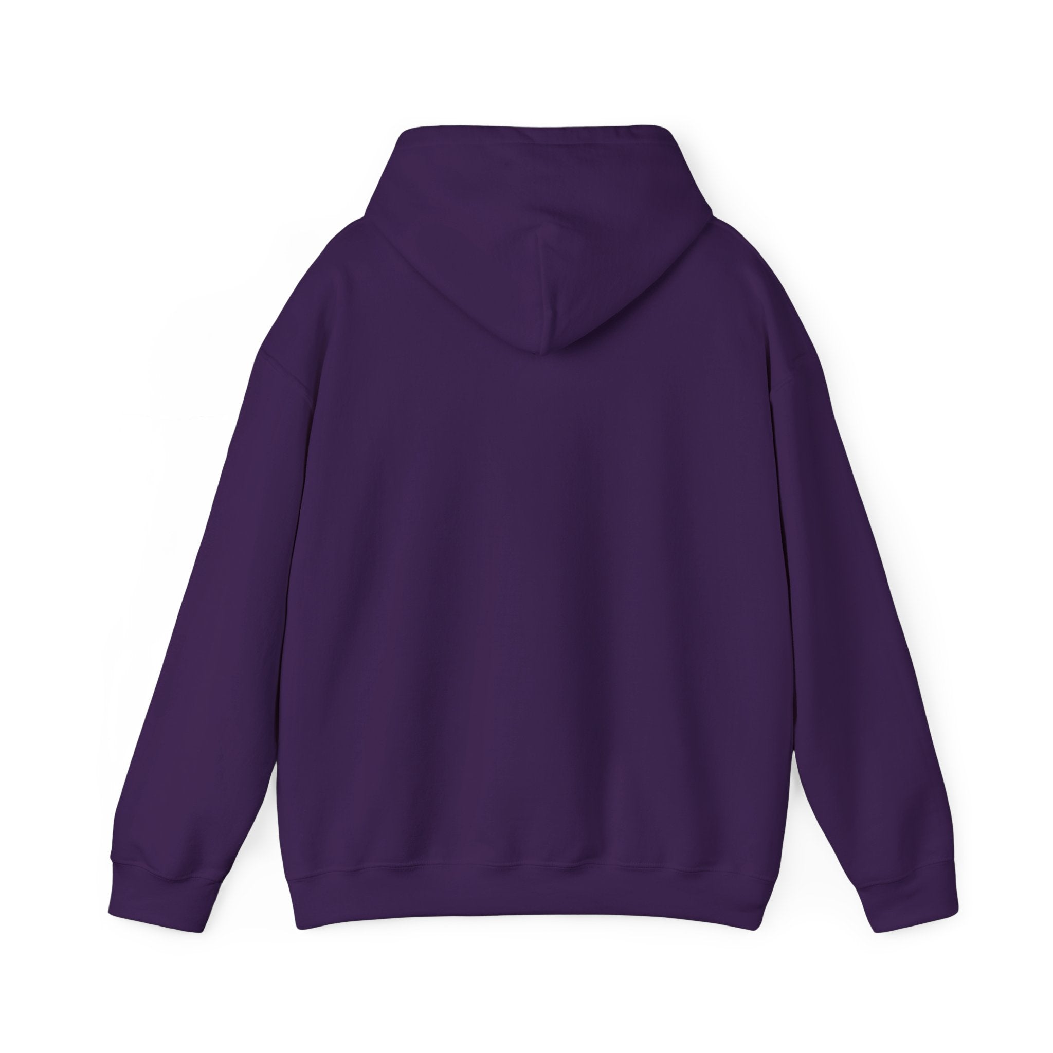 Impressive Cozy Hoodie that Carries a Calm Confidence, Motivational Gift, Trendy Casual Wear, Stylish Layering Piece