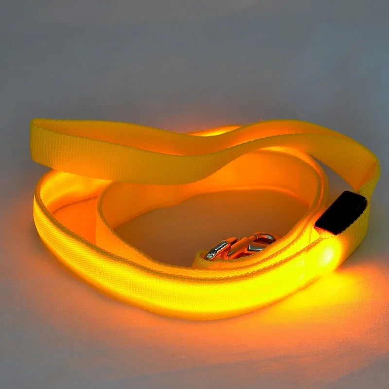 LED Light Up Dog Leash, Luminous Leash For Dog Safety, Glowing, Harness, Electronic Pet Accessories