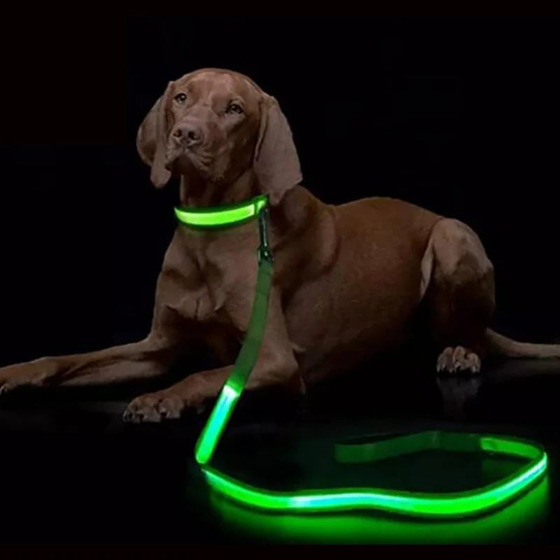 LED Light Up Dog Leash, Luminous Leash For Dog Safety, Glowing, Harness, Electronic Pet Accessories